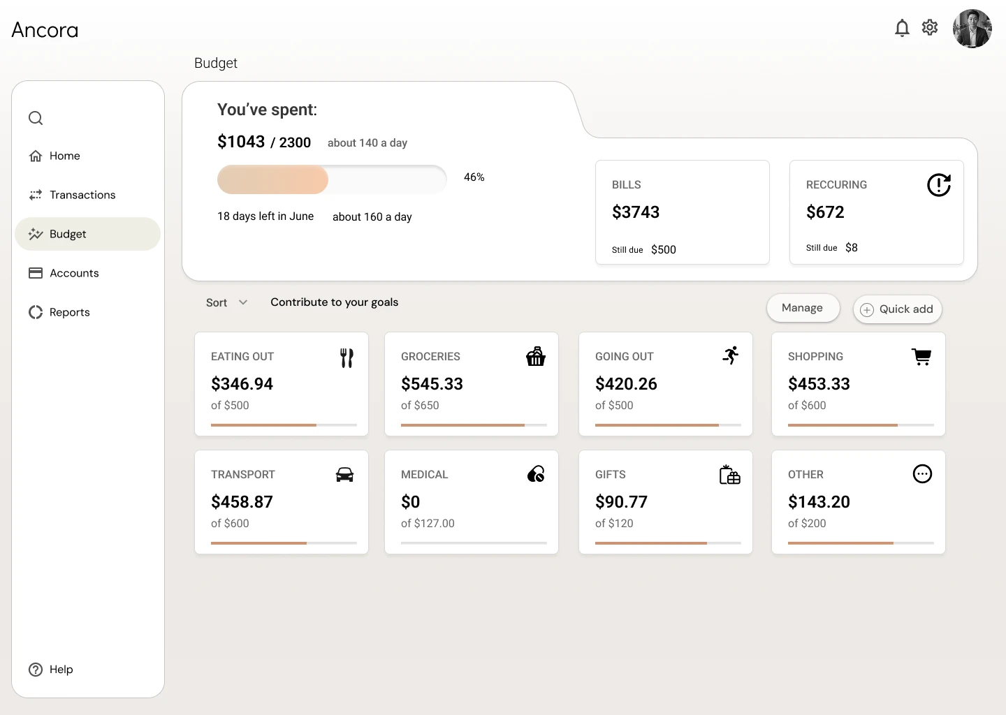 Ancora dashboard — budget breakdown